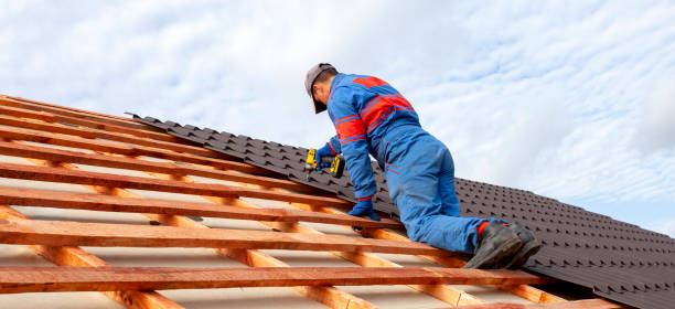 Best Roof Moss and Algae Removal  in Greensburg, KY
